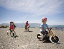 Wishbonebike 3-in-1 Loopfiets -Rijden Speelgoed Winkel loopfiets wishbone bike 4